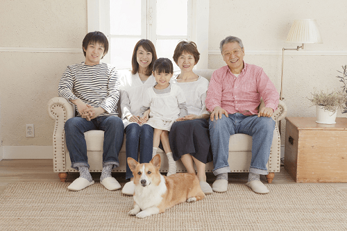 長照險
