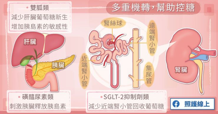 血糖