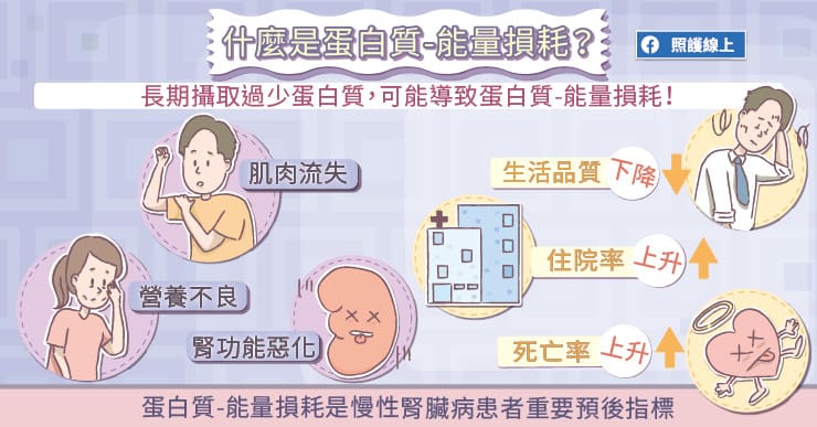 蛋白質