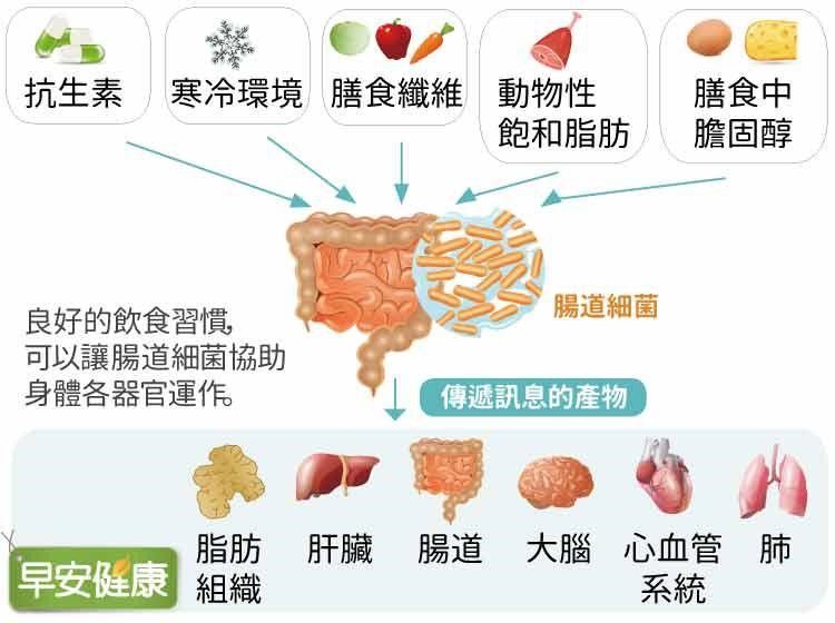 益生菌