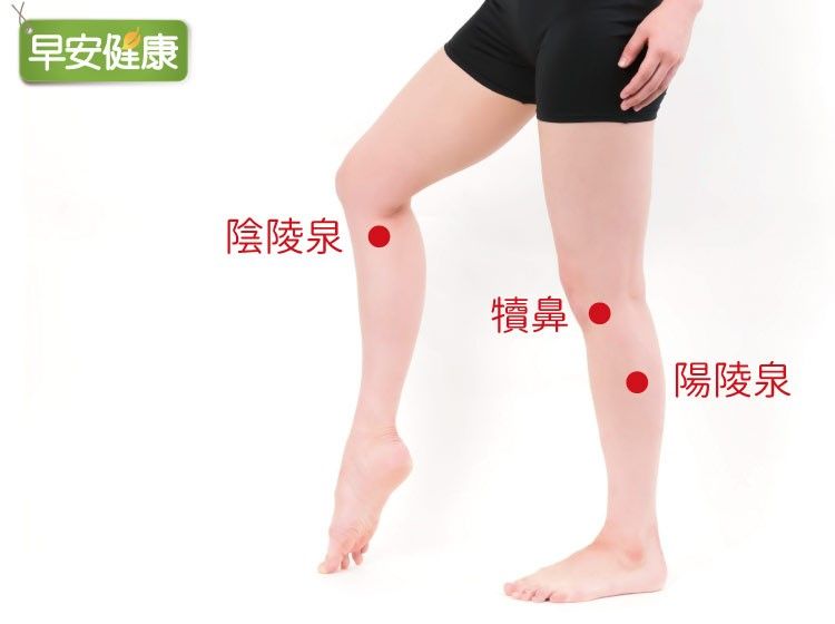 膝蓋