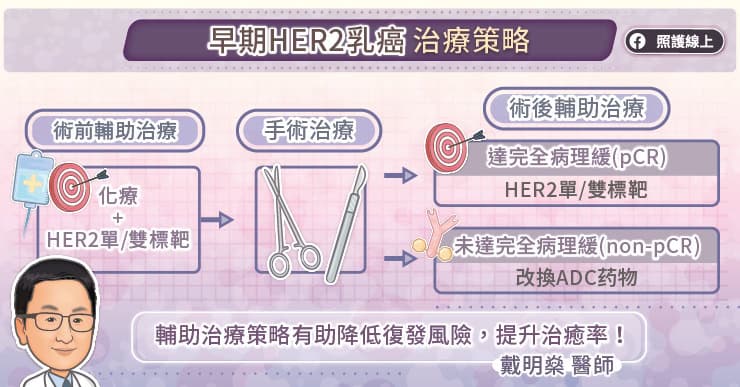早期HER2乳癌治療策略