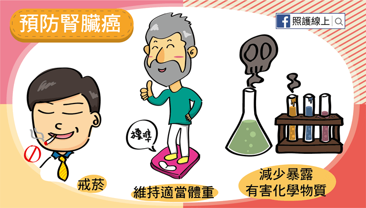 腎臟