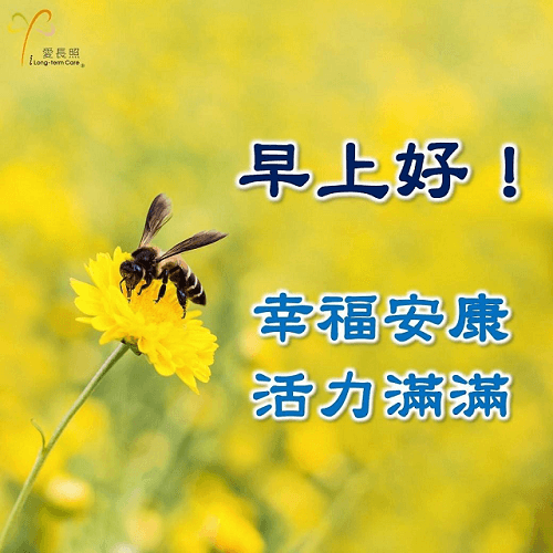 長輩圖