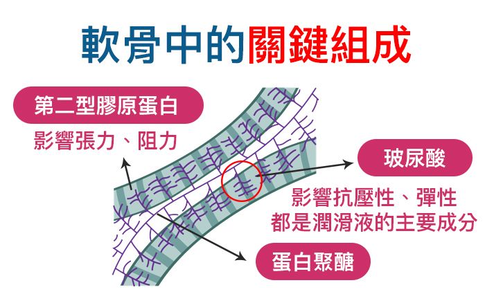 退化性關節炎