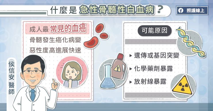什麼是急性骨髓性白血病?