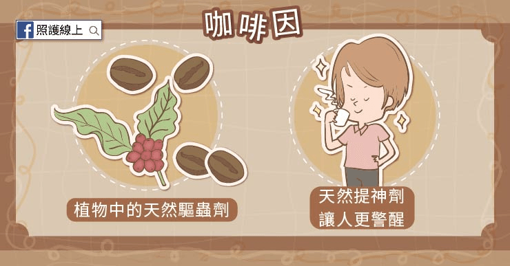 咖啡