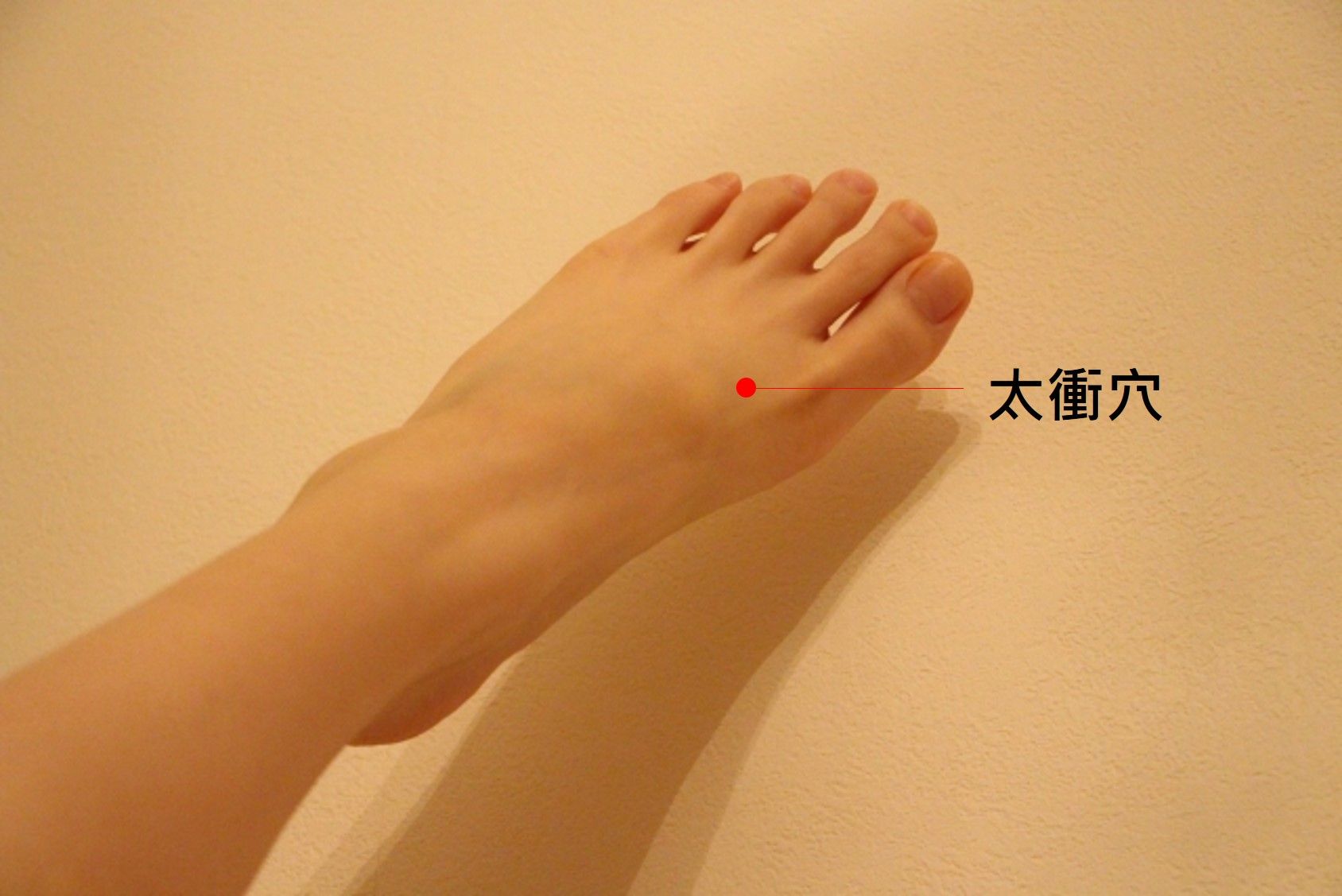 穴道