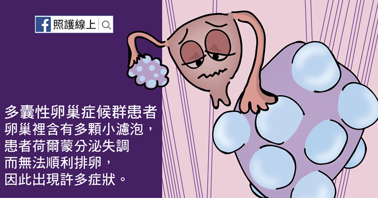 濾泡