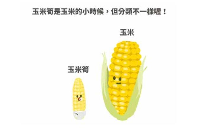 玉米