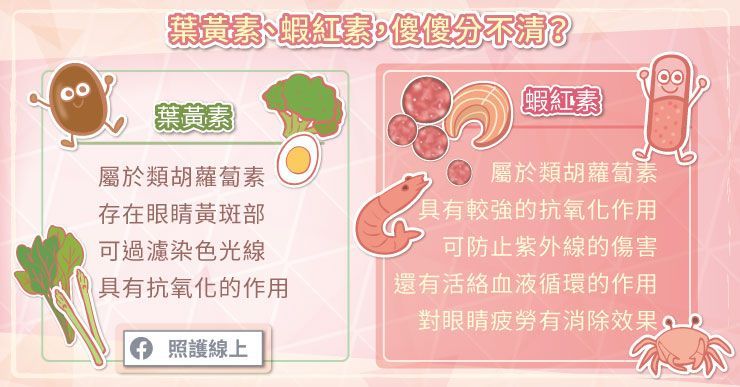 葉黃素、蝦紅素