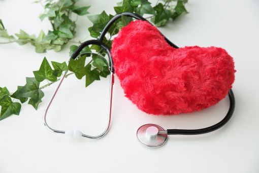 劉秀枝