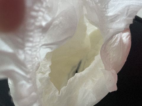 試用者實拍